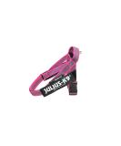 Julius-K9 Belt Harness S/Mini - Color & Gray Pink-Grey | Best International Shipping - Buy Online on GoSupps.com