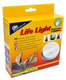 Buy Lucky Reptile LL-1 Life Light - Multicolor LED for Insect Terrariums Life Boxes & Life Pyramids | International Shipping - Buy Online on GoSupps.com