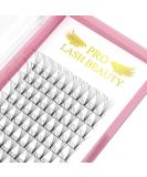 6D-D-0.10-9 Short Stem Eyelash Extensions | Volume Lash Fan - 12 Pieces (0.10 D Curl) | International Shipping - Buy Online on GoSupps.com