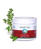 Annabis HEMP OINTMENT | Hemp ointment for frequent massage against pain with hemp oil | Pain ointment | 330ml - Buy Online on GoSupps.com