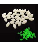 AGOOL Luminous Glow Fishing Beads - 100pcs Green Glow Fish Attractants Eggs - Fishing Rigging Tackle - Buy Online on GoSupps.com