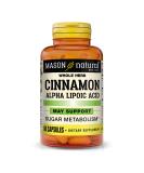 Buy Mason Natural Cinnamon Alpha Lipoic Acid - 60 Capsules for Antioxidant Support - Buy Online on GoSupps.com