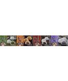 Royal Family Japanese Mochi Variety Pack - Red Bean, Taro, Green Tea, Peanut - 29.6 oz - Buy Online on GoSupps.com