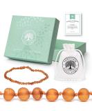 Certified Genuine Baltic Amber Necklace - Raw Unpolished Baroque Cognac 12.5 Inches - Buy Online on GoSupps.com