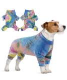 Rainbow Dog Sweater with Legs - Windproof Cotton Overall Pajamas for Small & Medium Dogs - Buy Online on GoSupps.com