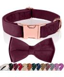 Shop Asvin Velvety Dog Collar with Removable Fly | Soft & Comfortable Multicolored Collar for Weddings & Parties - International Shipping - Buy Online on GoSupps.com