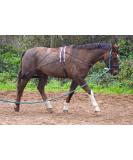 Aces Equine HORSE LUNGING TRAINING AID PESSOA STYLE WITH BODY ROLLER ONE SIZE BLACK AND BROWN - Buy Online on GoSupps.com