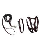 Buy Kerbl 83785 Reflective Cat Collar Harness & Leash Set - Ideal for Safe Outdoor Adventures | International Shipping Available - Buy Online on GoSupps.com