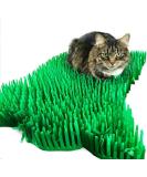 CATMAT - Cat Paper Grass Tissue Paper Cat Mat Cat Play Mat Cat Play Grass Paper Cat Grass Fake Cat Toy Grass Cat Mat Tissue Paper Grass for Cats Cat Grass for Indoor Cats - Green (Pack of 2) - Buy Online on GoSupps.com