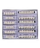 168 Pcs Dental Synthetic Resin Tooth Denture 6 Sets False Teeth 22 A2 Upper Lower Shade Dental for Halloween Horror Teeth (22 A2) - Buy Online on GoSupps.com