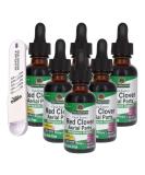 Nature's Answer Red Clover Extract - Alcohol-Free Menopause Support Hormonal Balance Herbal Supplement 0.2 lbs (6-Pack) - Includes Measuring Spoon - International Shipping Available - Buy Online on GoSupps.com