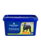 Dodson & Horrell Echinacea Horse Supplement 1 kg Echinacea 1 kg (Pack of 1) - Buy Online on GoSupps.com