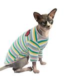 Pumyporeity XXL Green Stripes T-Shirt for Sphynx Cats | Soft Breathable Pajama Tank Top for Hairless Cats | Comfortable & Stretchy Cat Vest - Buy Online on GoSupps.com