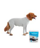 Shed Defender Body Suit for Dogs - Anti-Shedding Onesie for Anxiety & Recovery | XXXS Heather Gray (2-3KG) - Buy Online on GoSupps.com