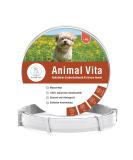 Animal Vita Tick Collar for Small Dogs | 100% Natural | 8 Months Tick Protection - Shop Now! - Buy Online on GoSupps.com