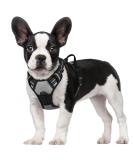 Rabbitgoo Dog Harness for Medium Dogs - No Pull Adjustable Breathable & Safe with Reflex Stripes Ideal for Training & Walking 1 Pack (Gray) - Buy Online on GoSupps.com