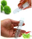 Crystal Red Shrimp Tank Planaria Trap - Bristle Worm Catcher for Cherry Shrimp, Dwarf Shrimp & Ghost Shrimp - Freshwater Cleaning Supplies - Buy Online on GoSupps.com