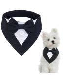 Shop Kuoser Dog Hill Cloth Neckerchiefs | Christmas & Fly Bandanas for Big & Small Dogs - Buy Online on GoSupps.com