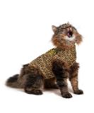 MPS Medical Pet Shirt for Cats - Leopard Print Size S | Stylish & Functional International Shipping - Buy Online on GoSupps.com