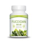 Fucidan MTS 85 Sea Algae Wakame Extract - 60 Capsules 500mg 85% Fucoidan Vegan & Additive-Free - High Concentration for Optimal Health - Buy Online on GoSupps.com