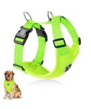 Buy Slowton Dog Harness - No Pull Safety Harness for Small & Medium Dogs | Soft Padded & Breathable - Lime Color - Buy Online on GoSupps.com