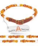 Amber Necklace for Dogs - EM Ceramic Pipes - Natural Tick Protection Collar 55-60 cm - International Shipping Available - Buy Online on GoSupps.com