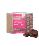 Shop Vegan Chocolate Florbalance Powder 150g - Sugar-Free Probiotics & Prebiotics for Gut Health - Buy Online on GoSupps.com