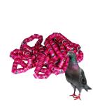 50 Multicolored Aluminum Pigeon & Chicken Leg Rings | Bird Identification Foot Rings - Training Accessories - Buy Online on GoSupps.com