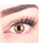 Buy Natural Brown Contact Lenses | Silicone Comfort Rose Brown | 1 Pair - -1.50 Diopters | International Shipping - Buy Online on GoSupps.com