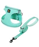 Shop Bella & Pal Small Dog Harness with Leash | Air Mesh Reflective Breathable | Perfect for Puppies & Cats - XXS (28-30 cm) Light Green - Buy Online on GoSupps.com