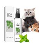 100ml Herbal Cat Joy Spray Herbal Cat Joy Celery Pets Catnip Spray for Cats Cat Scratching Spray Mist Cat Training Spray with Catnip Catnip Spray for Indoor Cats Cat Nips Spray for Cat Anxiety Relief - Buy Online on GoSupps.com