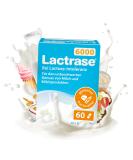 Pro Natura Lactrase 6000 - 60 Lactase Capsules for Lactose Intolerance | Enjoy Milk & Dairy Products Carefree - Buy Online on GoSupps.com