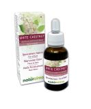 Buy White Chestnut Bach Flower Essence - Alcohol-Free Liquid Drops | Aesculus Hippocastanum | 30ml | Vegan | International Shipping - Buy Online on GoSupps.com