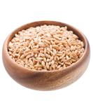 Bulk Grains  100% Organic Pearled Farro  Pack of 11  Size - LB  Quantity - 1 Case11 - Buy Online on GoSupps.com