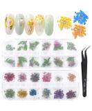 Dokpav 2 Boxes Dried Flowers for Nail Art - 24PC Green Leaves & Real Flower Set with Curved Tweezers | 3D Nail Art Accessories for Stunning Nail Decor - Buy Online on GoSupps.com