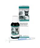 Alfavet Umijo Immun PET Immunicism - Sugar-Free Supplement for Dogs Cats Rodents & Birds | 15ml with Dosing Syringe - International Shipping - Buy Online on GoSupps.com