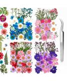 160pcs Dried Pressed Flowers for Resin Crafts - Bulk Natural Herbs Kit for DIY Art Projects - Epoxy Resin, Candle, Soap Making - Set A - Buy Online on GoSupps.com