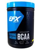 EFX Sports Training Ground BCAA - Sugar Free Amino Acids Supplement | Pre Intra Post Workout | 500g Strawberry Peach | Fully Soluble Best for International Shipping - Buy Online on GoSupps.com