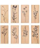 Dizdkizd 8-Piece Plant and Flower Wooden Rubber Stamp Set for DIY Crafts and Scrapbooking - Buy Online on GoSupps.com