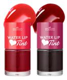 Buy 2 Colors Lip Tint Stain Set - Long Lasting Waterproof Korean Glossy & Matte Mini Liquid Lipstick for Lips & Cheeks - International Shipping Available - Buy Online on GoSupps.com