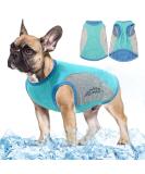 Dog Cooling Vest for Small to Medium Dogs XL Blue - Lightweight, Safety Breathable, Sun-proof, UV Protection, Reflective Strip - Spring and Summer Pet Cooling Jacket - Buy Online on GoSupps.com