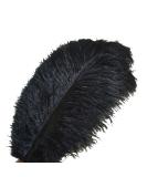 Sowder 10pcs Black Ostrich Feathers 12-14inch for Home Wedding Decoration - Buy Online on GoSupps.com