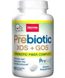Jarrow Formulas XOS + GOS Prebiotic Chewable Tablets - 90 Count for Gut Health - Buy Online on GoSupps.com