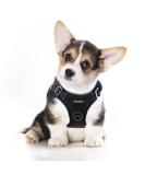 Funfox Adjustable No Pull Dog Harness for Small & Medium Dogs - Breathable Safety Harness | Anti-Zug Design | Perfect for Pups - Buy Online on GoSupps.com
