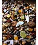 cura-canin 10 kg premium squirrel super food squirrel food of the highest class scatter feed feeder - Buy Online on GoSupps.com