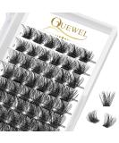 Buy QueWEL Mega D Curl Individual Eyelash Clusters - 12-18mm Segments for DIY Extensions | International Shipping Available - Buy Online on GoSupps.com