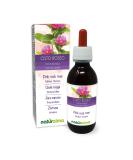 Zistrose (Cistus Incanus) Non-Alcoholic Tincture | Vegan Liquid Extract Drops 120ml | Natural Dietary Supplement - Buy Online on GoSupps.com