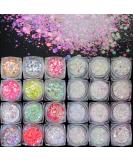 LoveOurHome 24 Box Iridescent Glitters Powder Pigment Nail Decorations for Resin Epoxy Crafts & Makeup - Chunky Flakes, Sequins & Hexagon Accessories for Festival, Body, Acrylic Nails Design - Buy Online on GoSupps.com