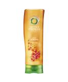 Buy Herbal Essences Bee Strong Conditioner 400ml | 6-Piece Pack | International Shipping Available - Buy Online on GoSupps.com