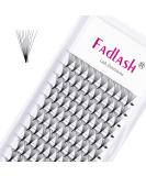 Buy 12D Volume Eyelash Extensions | 0.07mm C Curl 10mm | Artificial Lashes for Stunning Volume - Buy Online on GoSupps.com